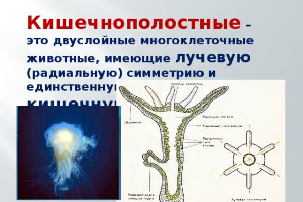 Не входит в кракен пользователь не найден