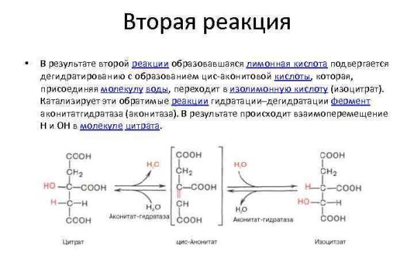 Кракен даркнет купить