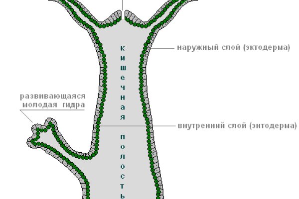 Кракен ссылка kr2link co