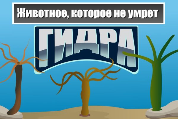 Кракен наркоз магазин